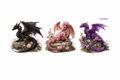 Black, Pink & Purple Dragons #FAN064