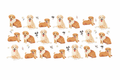 Golden Retriever Puppies #PTS028