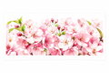 Bunches of Cherry Blossoms #FLR062