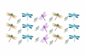 Different Color Dragonflies #BG059