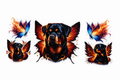 Rottweilers & Butterflies #PTS011