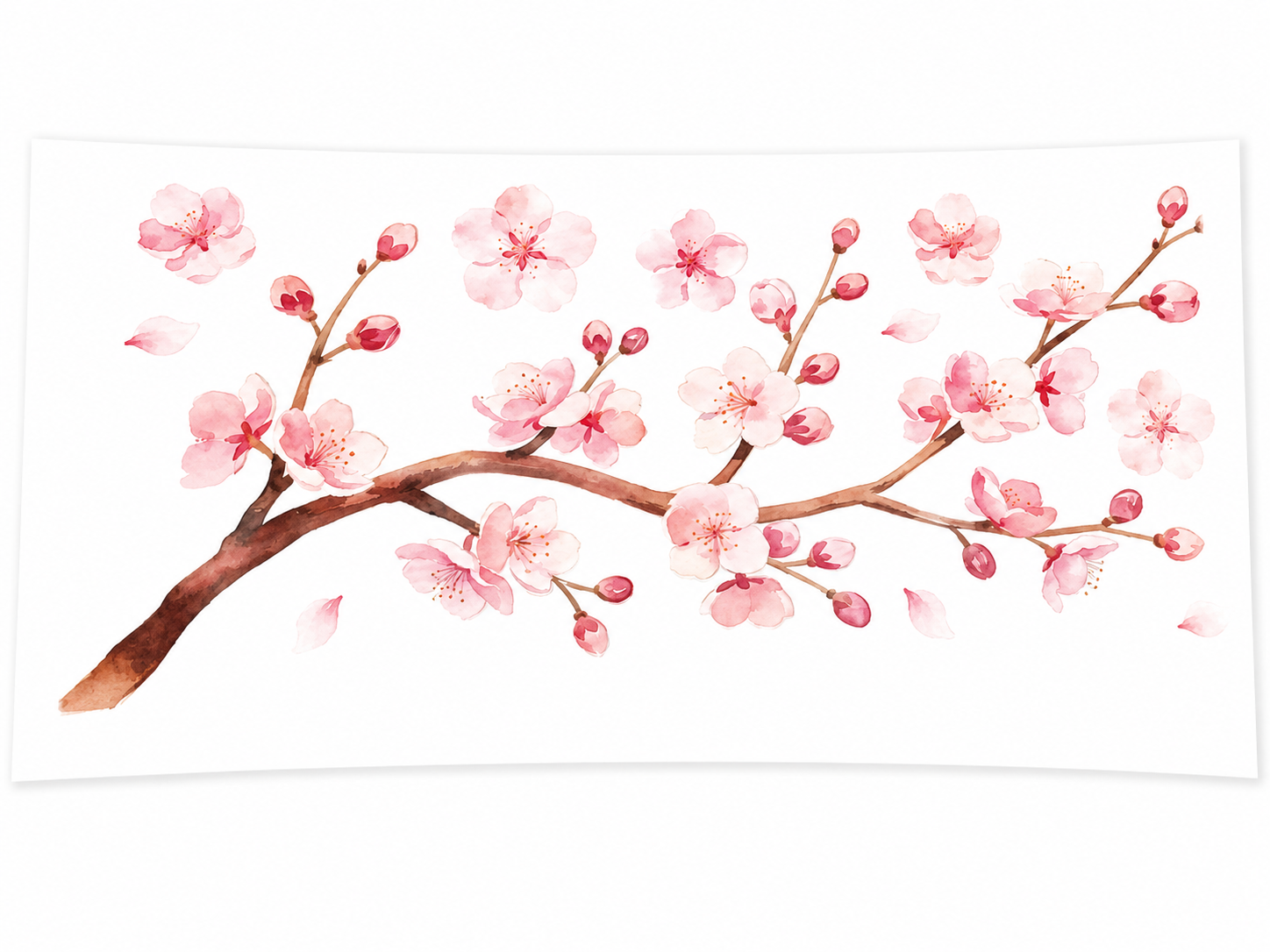 Cherry Blossom Branch #FLR065