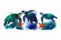 Sea Turtles and Starfish #SEA067
