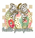 Hide Bow Hello Pumpkin Glitter Clear Film Screen Transfer CF-FL09