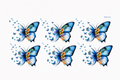 Abstract Butterflies #BG044