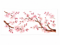 Cherry Blossoms Branches #FLR063